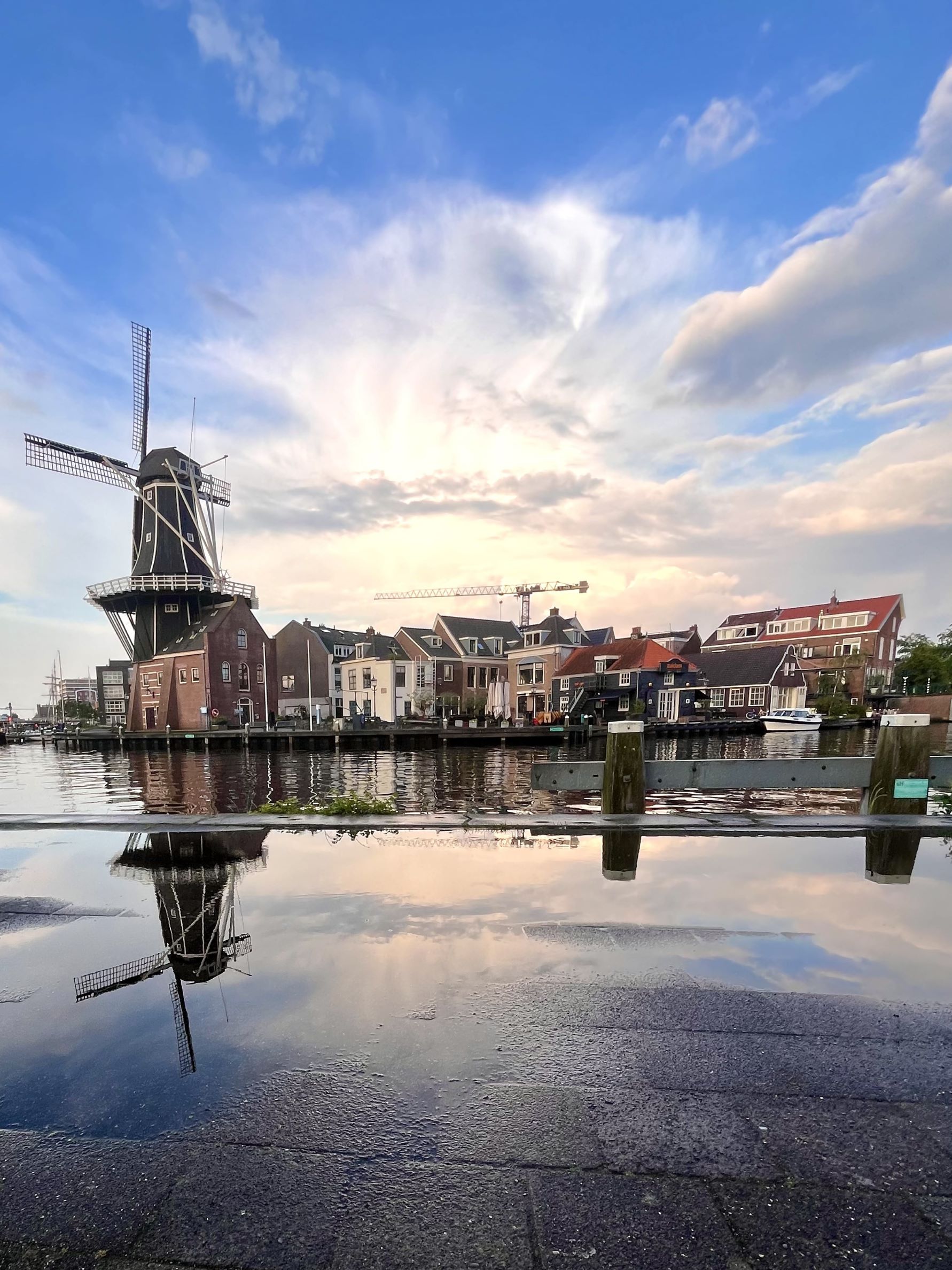 haarlem 04
