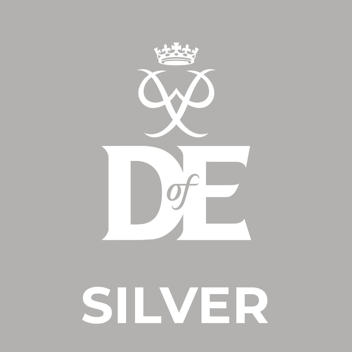 dofe silver